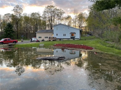 (private lake, pond, creek) Home For Sale in Unadilla New York