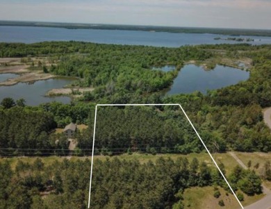 Petenwell Lake  Acreage For Sale in Nekoosa Wisconsin