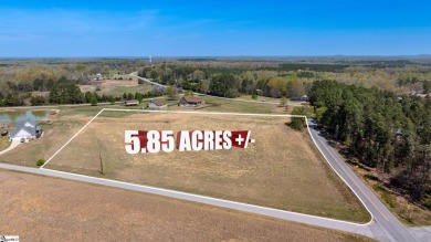 Lake Acreage Sale Pending in Laurens, South Carolina