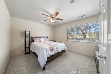 Tucked at the end of a quiet court, this spacious single-level - photo 29