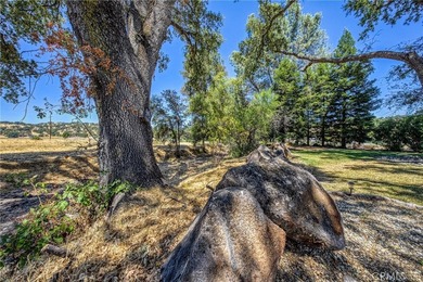 Tucked at the end of a quiet court, this spacious single-level - photo 47