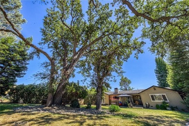 Tucked at the end of a quiet court, this spacious single-level - photo 49