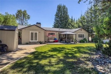 Tucked at the end of a quiet court, this spacious single-level - photo 50