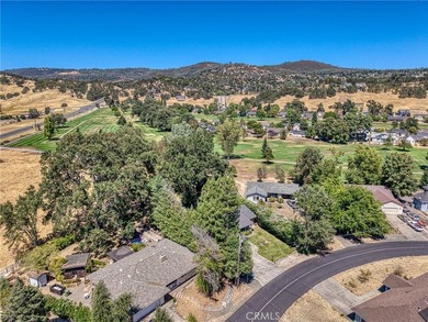 Tucked at the end of a quiet court, this spacious single-level - photo 56