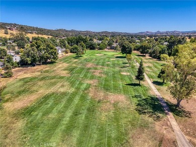 Tucked at the end of a quiet court, this spacious single-level - photo 60