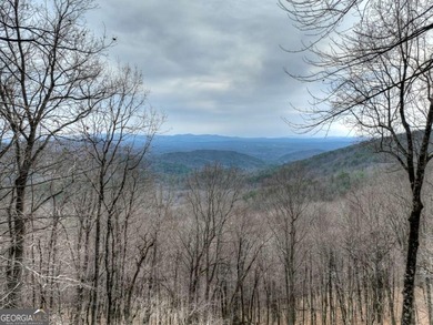 Spectacular *Top of the Mountain* Long-Range Views showcases - photo 30