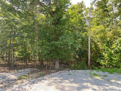 Lake Lot For Sale in Perryville, Missouri