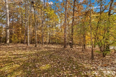 Welcome to this beautiful home in the sought-after Corbin Hills - photo 41