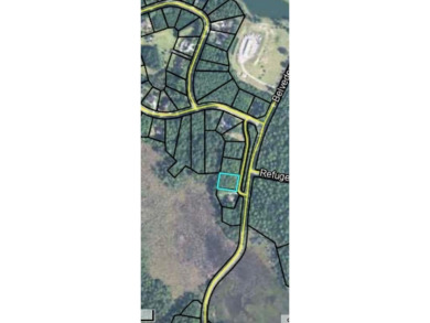 Lake Lot For Sale in Townsend, Georgia