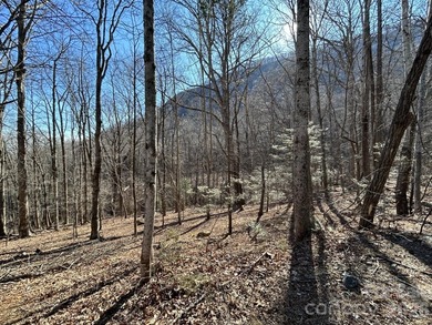 Exceptional location with stunning views of the dramatic - photo 5