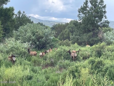 (private lake, pond, creek) Lot For Sale in Vernon Arizona