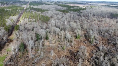 +/- 255 acres hunting and timberland property located in the Dry - photo 11