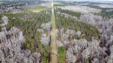 +/- 255 acres hunting and timberland property located in the Dry - photo 12