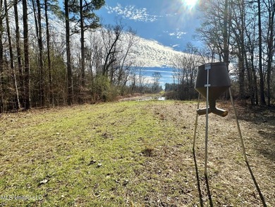 +/- 255 acres hunting and timberland property located in the Dry - photo 13