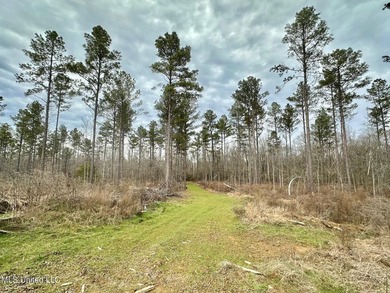 +/- 255 acres hunting and timberland property located in the Dry - photo 15