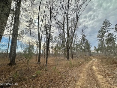 +/- 255 acres hunting and timberland property located in the Dry - photo 16