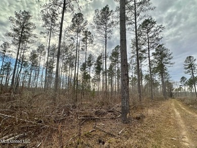 +/- 255 acres hunting and timberland property located in the Dry - photo 17