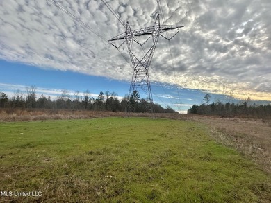 +/- 255 acres hunting and timberland property located in the Dry - photo 22