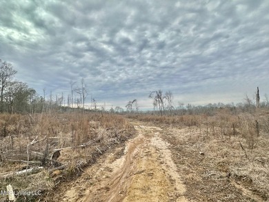 +/- 255 acres hunting and timberland property located in the Dry - photo 23