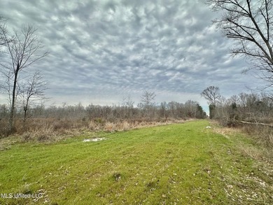 +/- 255 acres hunting and timberland property located in the Dry - photo 25