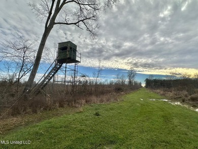 +/- 255 acres hunting and timberland property located in the Dry - photo 26