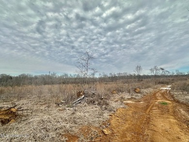 +/- 255 acres hunting and timberland property located in the Dry - photo 27