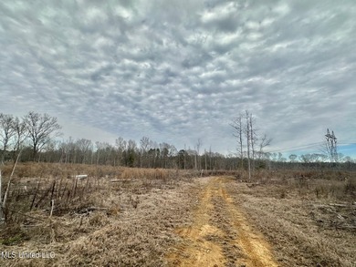+/- 255 acres hunting and timberland property located in the Dry - photo 29
