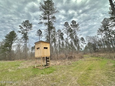 +/- 255 acres hunting and timberland property located in the Dry - photo 30