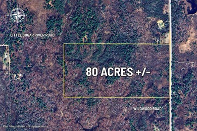 Secord Lake - Gladwin County Acreage Sale Pending in Alger Michigan