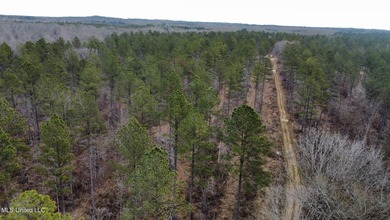 +/- 255 acres hunting and timberland property located in the Dry - photo 31
