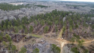 +/- 255 acres hunting and timberland property located in the Dry - photo 32