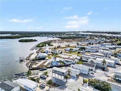 Newly constructed waterfront home offering beautiful back bay - photo 33