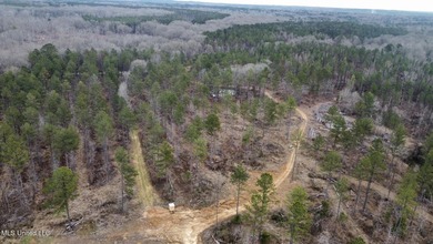 +/- 255 acres hunting and timberland property located in the Dry - photo 33