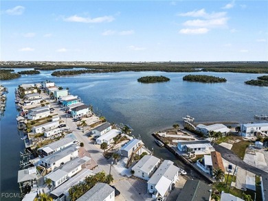 Newly constructed waterfront home offering beautiful back bay - photo 34