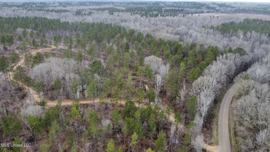 +/- 255 acres hunting and timberland property located in the Dry - photo 34