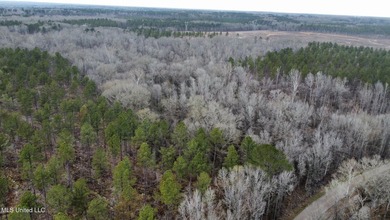 +/- 255 acres hunting and timberland property located in the Dry - photo 36