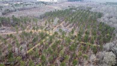 +/- 255 acres hunting and timberland property located in the Dry - photo 37