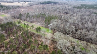 +/- 255 acres hunting and timberland property located in the Dry - photo 38