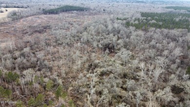 +/- 255 acres hunting and timberland property located in the Dry - photo 39