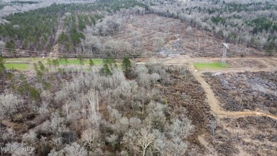 +/- 255 acres hunting and timberland property located in the Dry - photo 40