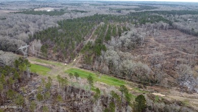+/- 255 acres hunting and timberland property located in the Dry - photo 41