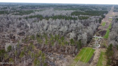 +/- 255 acres hunting and timberland property located in the Dry - photo 42