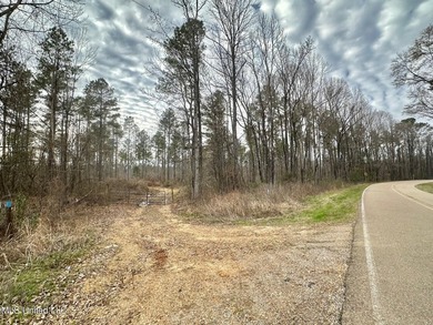 +/- 255 acres hunting and timberland property located in the Dry - photo 43