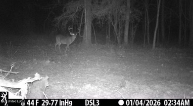 +/- 255 acres hunting and timberland property located in the Dry - photo 44