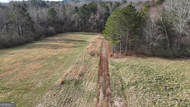 First time on the market in the past 60 years. The 2,700' (L) X - photo 10