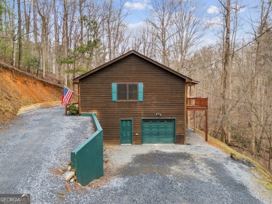 Lake Home For Sale in Ellijay, Georgia