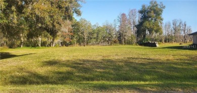 Lake Lot For Sale in Land O Lakes, Florida