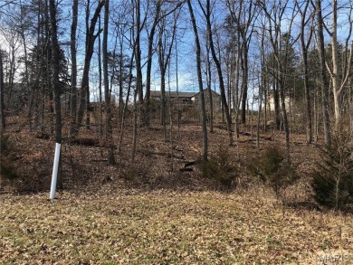 Lake Lot Sale Pending in Byrnes Mill, Missouri