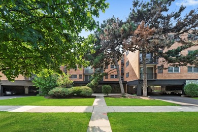 Rare gem in the heart of Oak Park's cherished Hemingway District