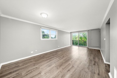 Rare gem in the heart of Oak Park's cherished Hemingway District